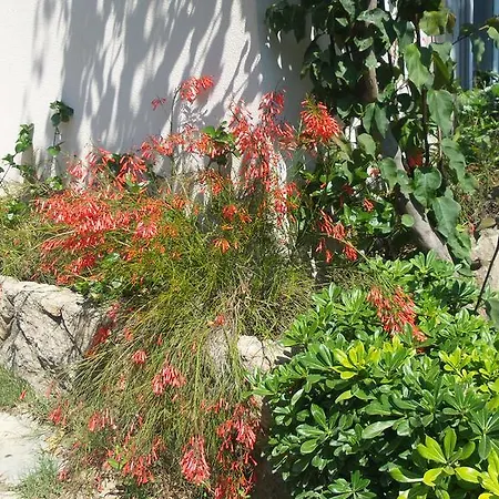 Villa Bodrum Mustakil