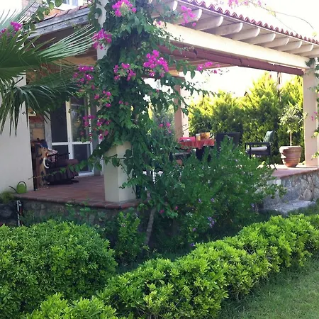 Bodrum Mustakil Villa *
